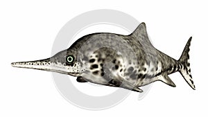 Ichthyosaur Stenopterygius