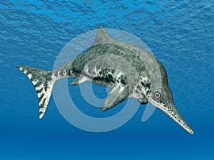 Ichthyosaur Stenopterygius