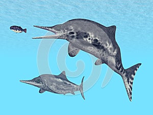 Ichthyosaur Stenopterygius