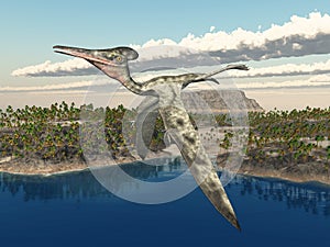 Pterosaur Pterodactylus over an ocean landscape