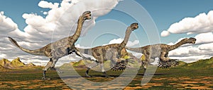 Theropod dinosaur Citipati in a landscape photo