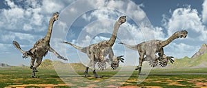 Theropod dinosaur Citipati photo