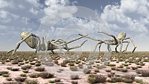 Two monstrous spiders in a landscape photo