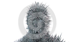 Computer generated human head transformation. Spike noise is displaced from inside. 3d rendering virtual background