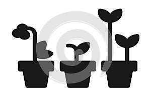 Three aligned potted plants planters bold all black silhouette white backdrop photo