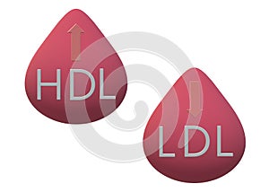 Two droplets of red blood indicating increase in HDL and decrease in LDL photo