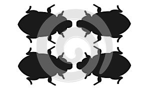 Two pairs of insects bugs outlines shapes silhouette against a white backdrop photo