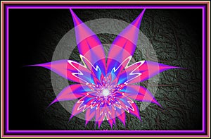 Computer graphics. Fractal texture in frame. Flower. Illustration