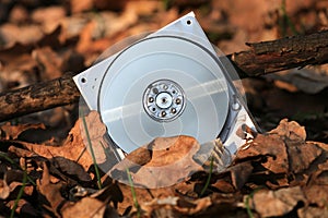 Computer hard disk in autumn leafage in forest