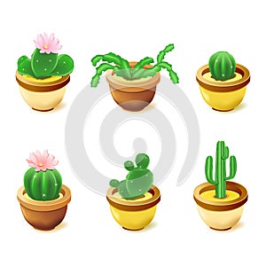 Computer icons, cactus