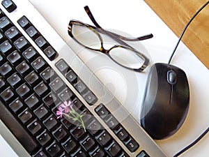 Computer keyboard with pink spring flower, mouse