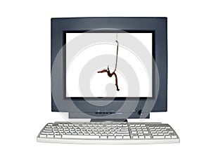 Computer monitor - phishing