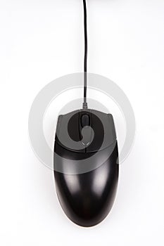 Computer Mouse