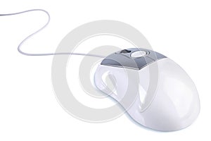 Computer mouse