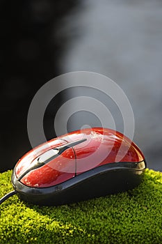 Computer mouse