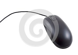 Computer Mouse photo