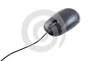 Computer Mouse