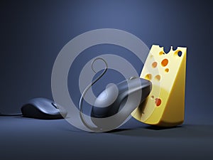 Computer mouse and cheese