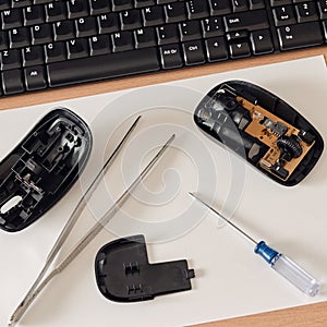 Computer mouse dismantle
