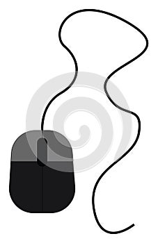 Image of computer mouse, vector or color illustration