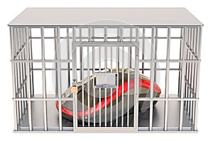 Computer mouse inside cage, prison cell. 3D rendering