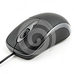 Computer Mouse isolated on transparent background