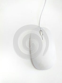 Computer mouse isolated on white background