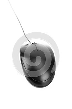 Computer mouse isolated on white background