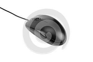 Computer mouse isolated on white background