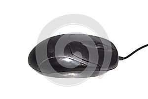 Computer mouse isolated on white background