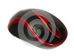 computer mouse isolated on white background