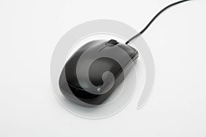 Computer mouse isolated white background