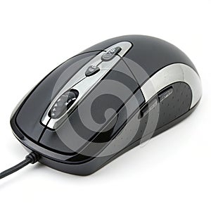 Computer mouse isolated on white background