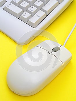 Computer mouse and keyboard