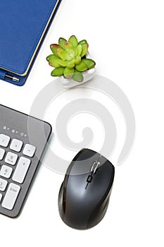 Computer mouse, keyboard, agenda and plant on white background