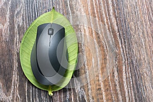 Computer mouse on a leaf plants