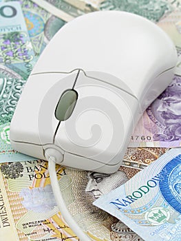 Computer Mouse on Money