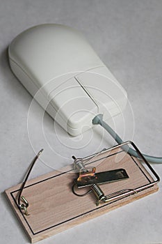 Computer mouse with a mouse trap