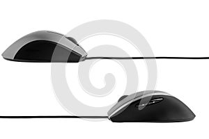 The computer mouse profile view