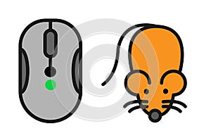 Computer mouse and rodent mouse side by side white backdrop