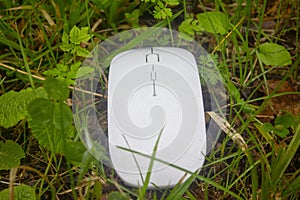 Computer mouse on summer grass background