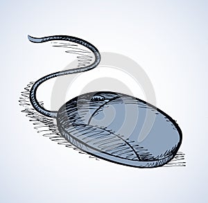 Computer mouse. Vector drawing