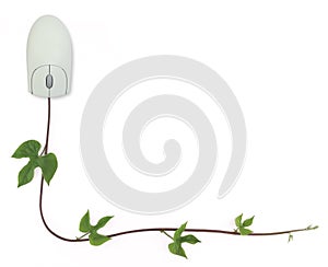 Computer Mouse and Vine Border