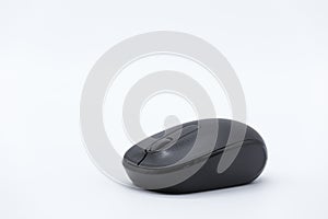 Computer mouse on a white background