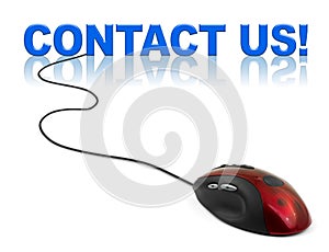 Computer mouse and word contact us