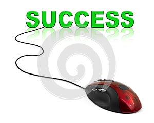 Computer mouse and word Success