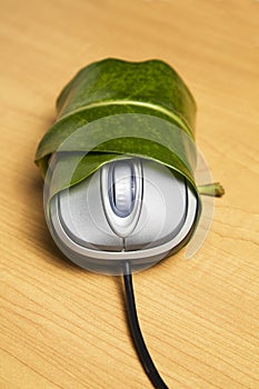 Computer mouse wrapped in a leaf