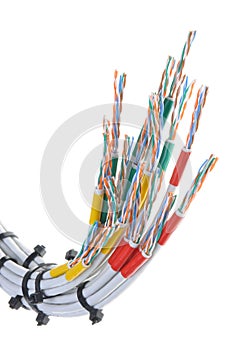 Computer network cables with cable ties