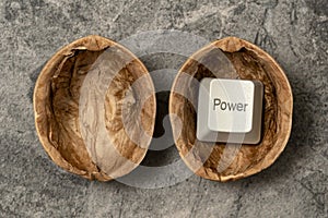 Computer POWER button inside cracked walnut shell