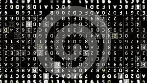 Computer program backdrop with big data processing by high tech technological computer. Animation. High tech mathematics photo